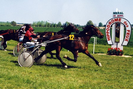 VICTOIRE DE LESTO ROZEEN ISSUE DE NOTRE ELEVAGE AVEC            Florian BOUDET  